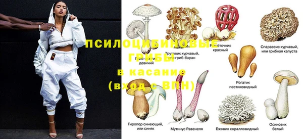 ешки Майский