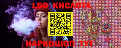 спиды Гусев
