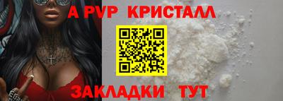 спиды Гусев
