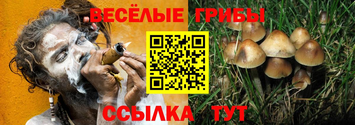Псилоцибиновые грибы MAGIC MUSHROOMS Севастополь