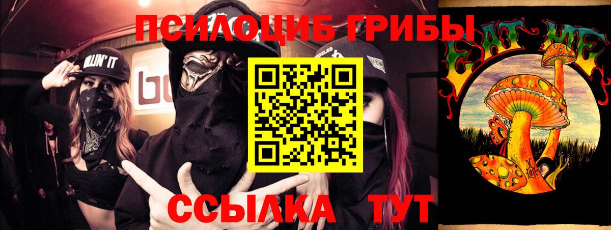 Севастополь  Галлюциногенные грибы Psilocybe  Вход с VPN 